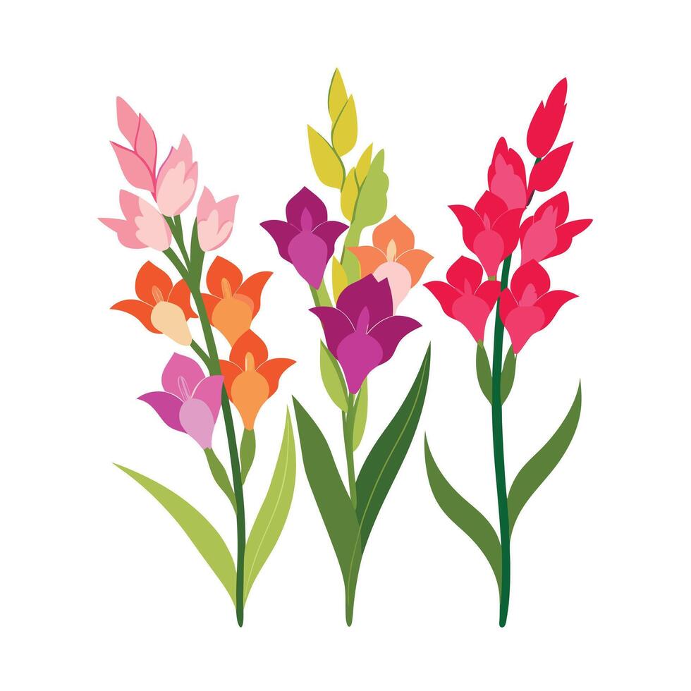 Beautiful Flower Minimalist Floral Illustration vector