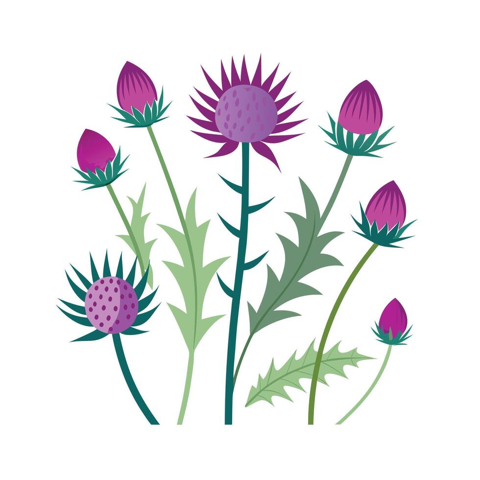 Beautiful Flower Minimalist Floral Illustration vector