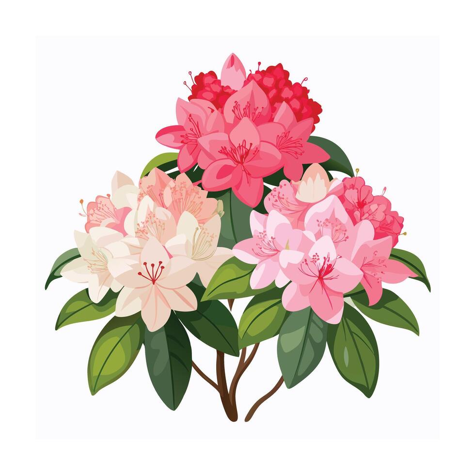 Beautiful Flower Minimalist Floral Illustration vector