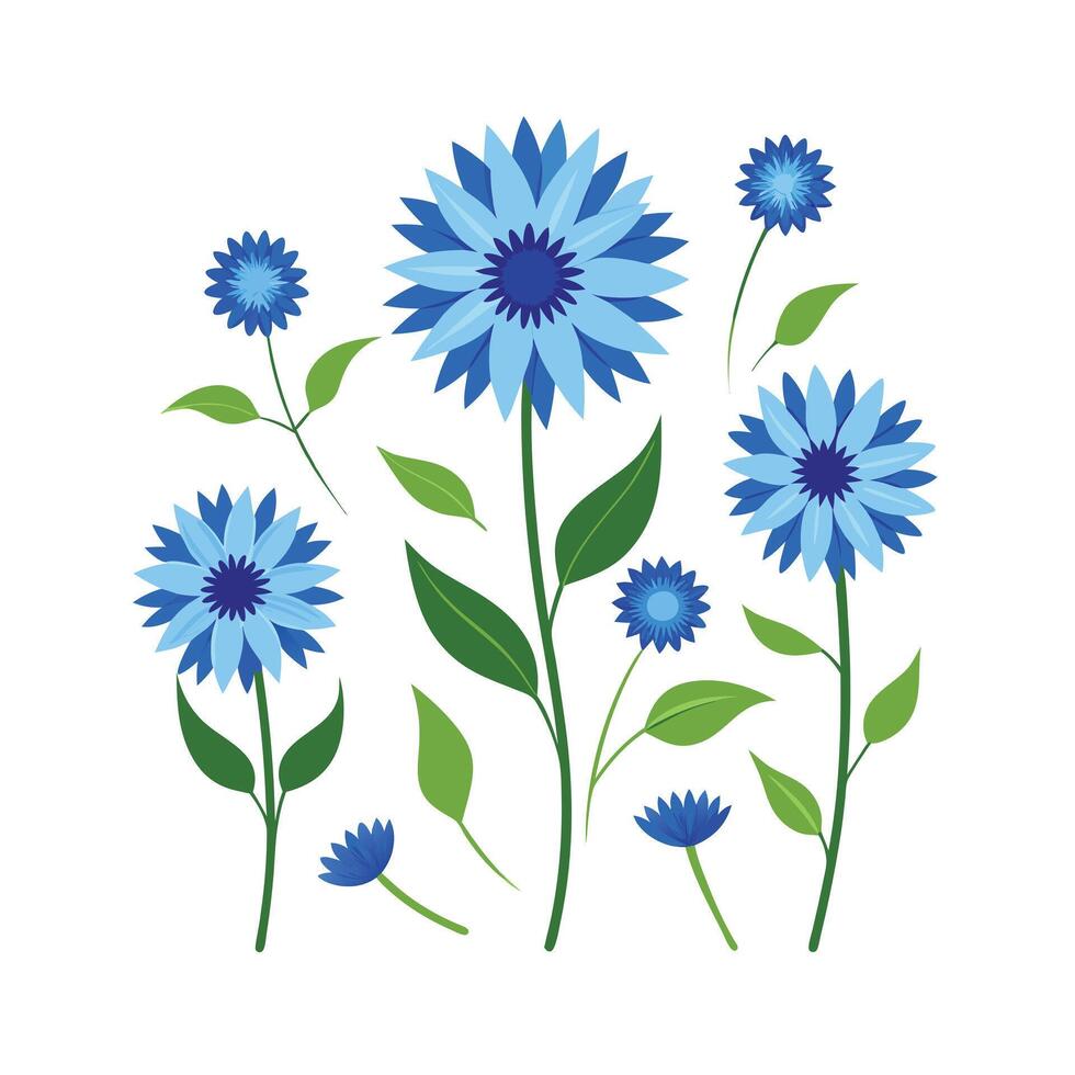 Beautiful Flower Minimalist Floral Illustration vector