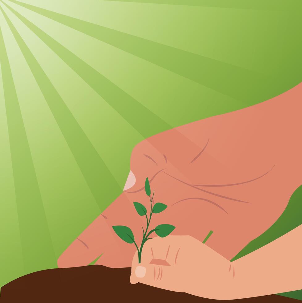 World Soil Day Design Illustration for Poster Background and Banner Design vector