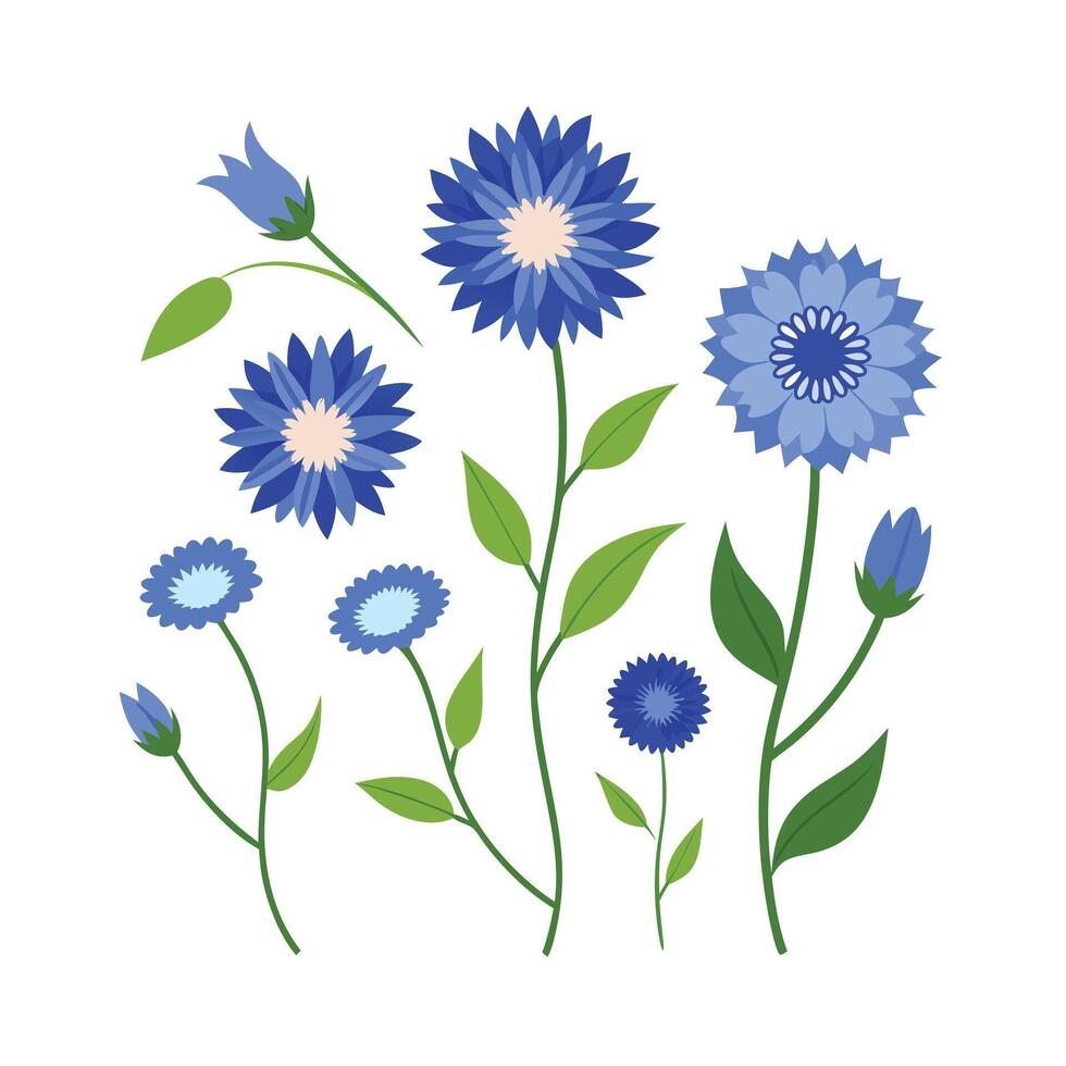 Beautiful Flower Minimalist Floral Illustration vector