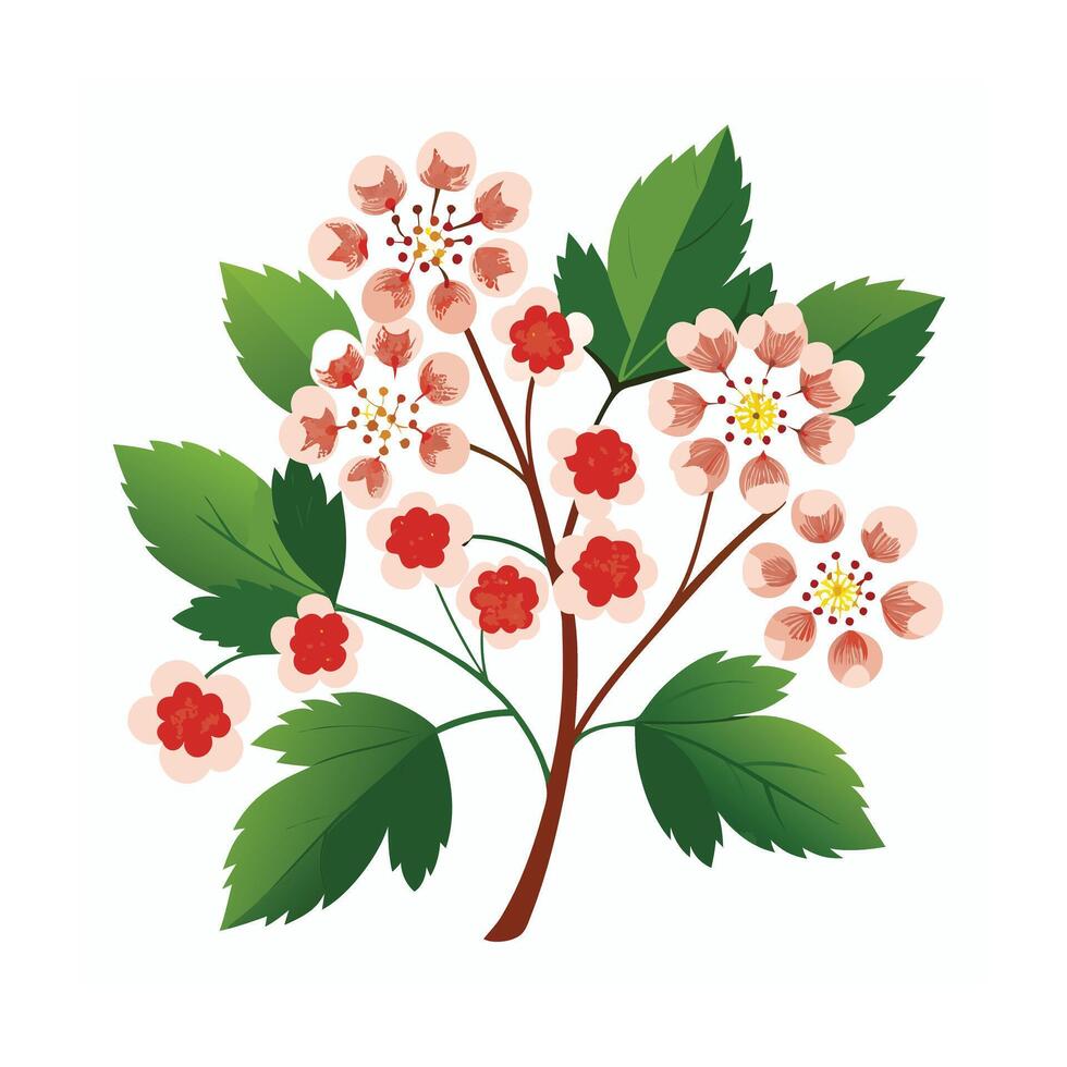 Beautiful Flower Minimalist Floral Illustration vector
