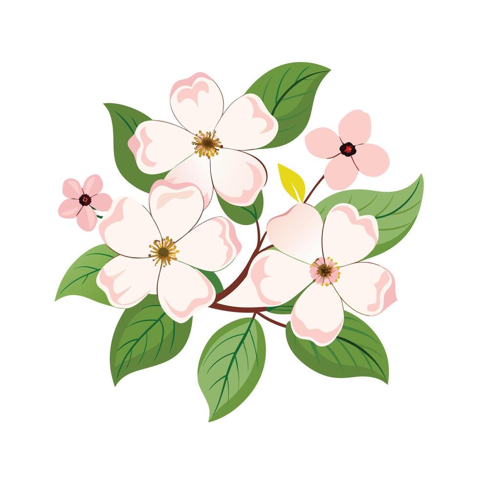 Beautiful Flower Minimalist Floral Illustration vector