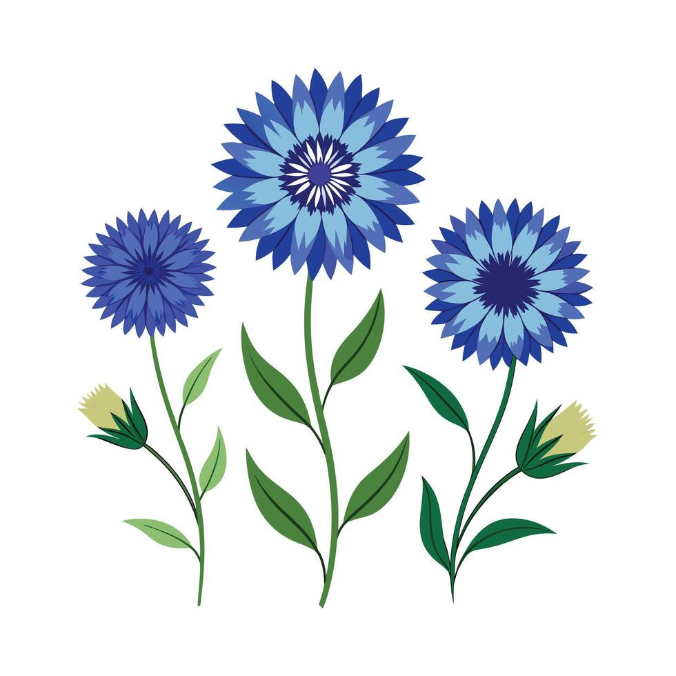 Beautiful Flower Minimalist Floral Illustration vector