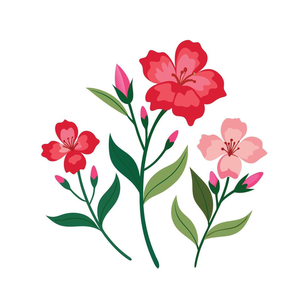 Beautiful Flower Minimalist Floral Illustration vector