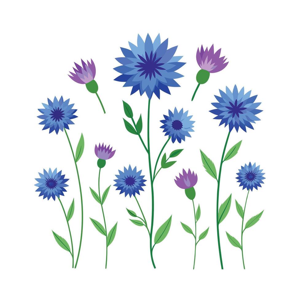 Beautiful Flower Minimalist Floral Illustration vector