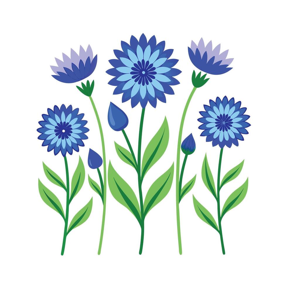 Beautiful Flower Minimalist Floral Illustration vector
