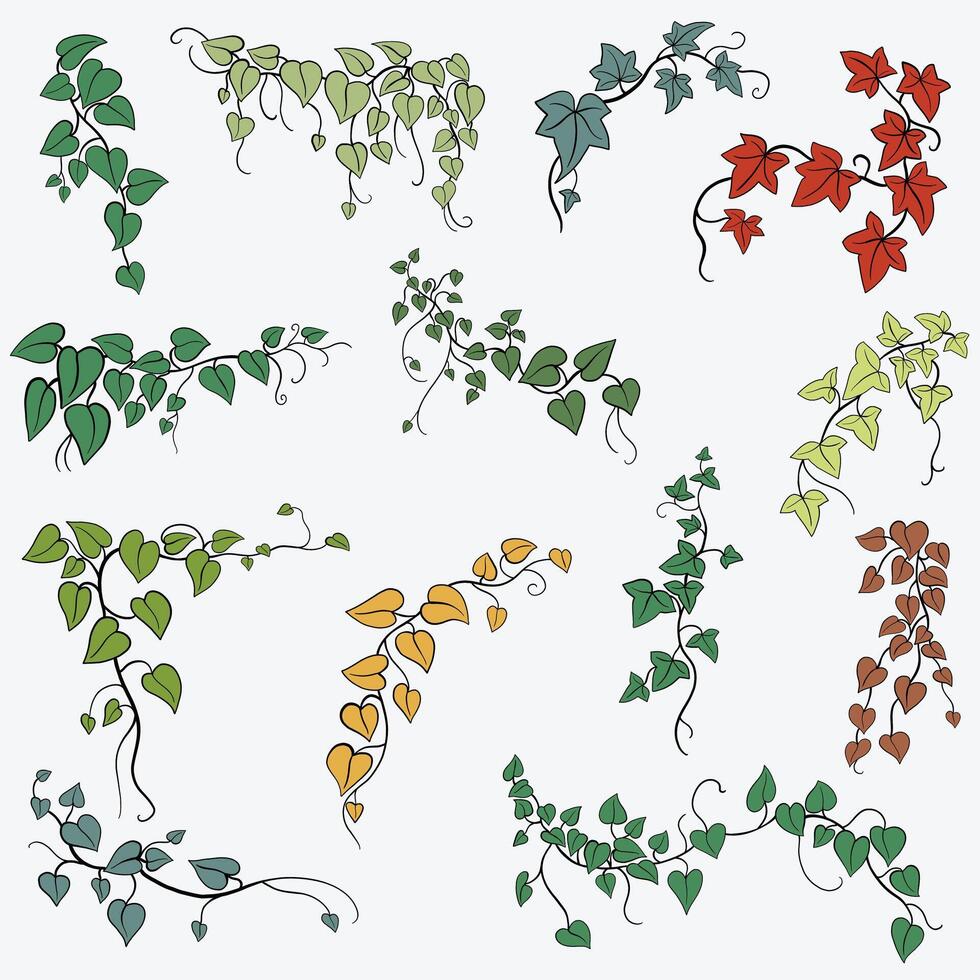 Floral ivy drawing decorative ornament flat design collection. vector