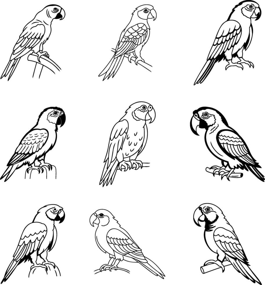 Coloring page book Animal parrot icon vector