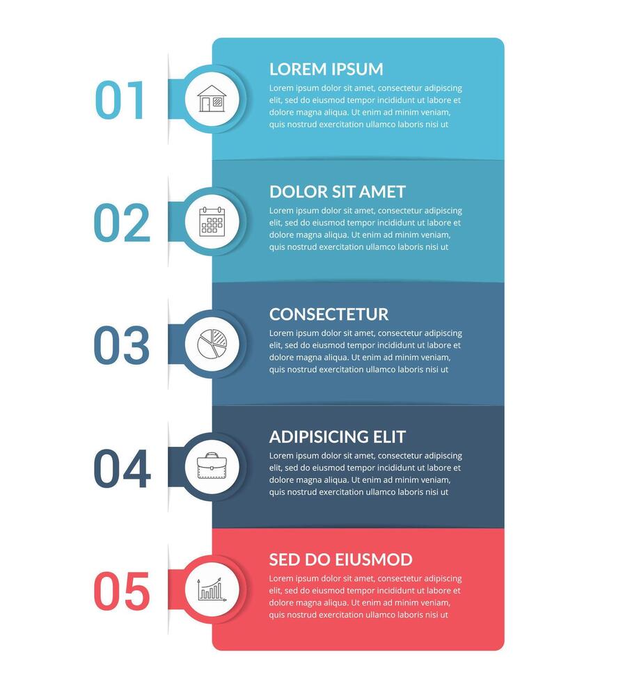 Infographic Template with 5 Steps vector