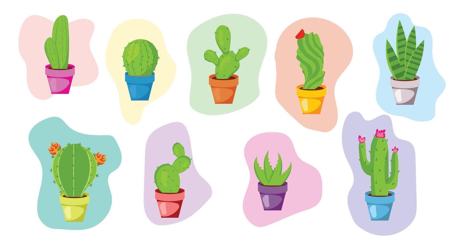 Set of succulent cactus plants flowers vector
