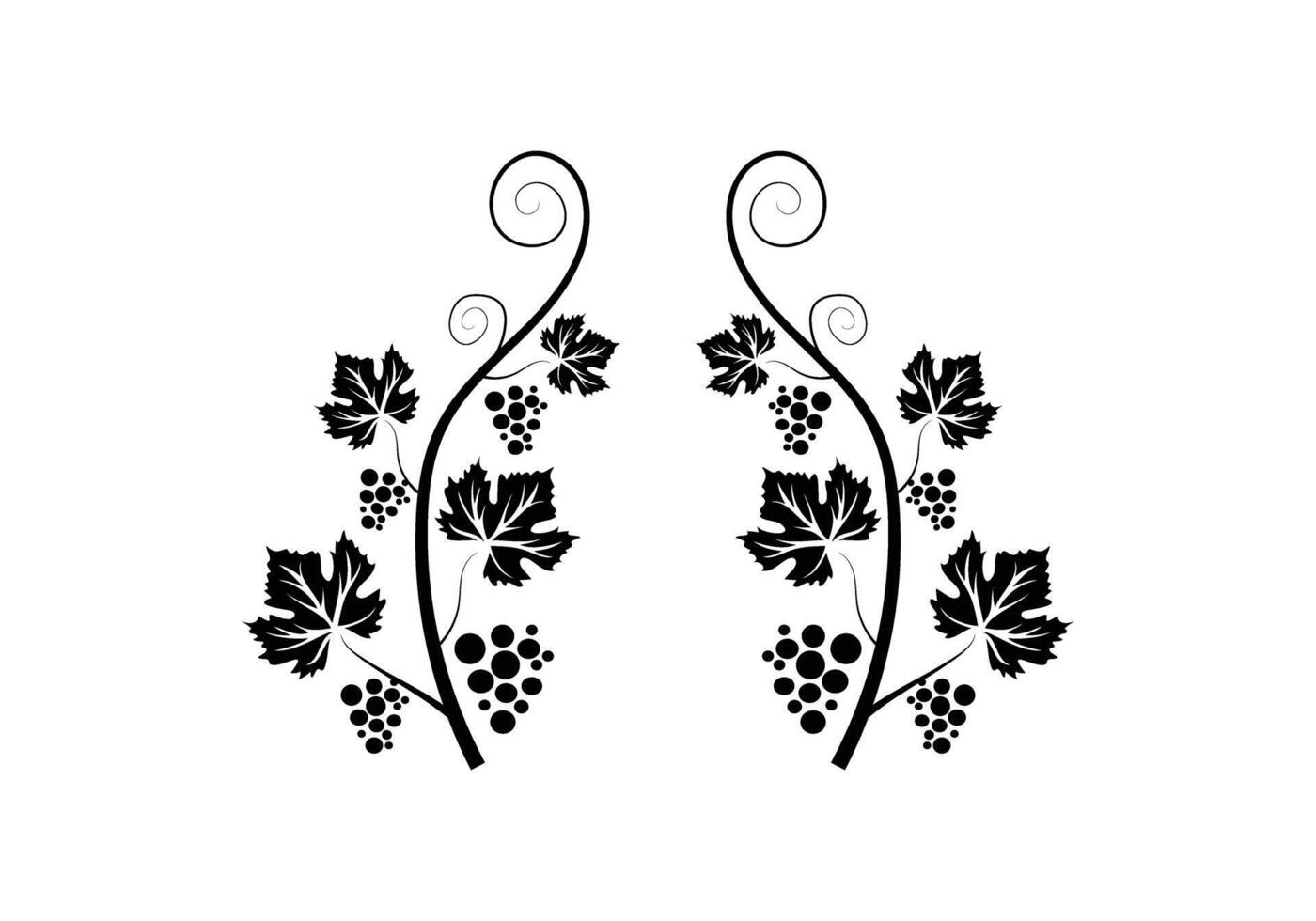 Grapevine Decoration Illustration vector