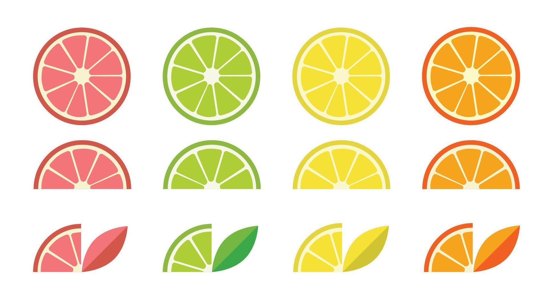 3 Citrus Fruit Illustration vector