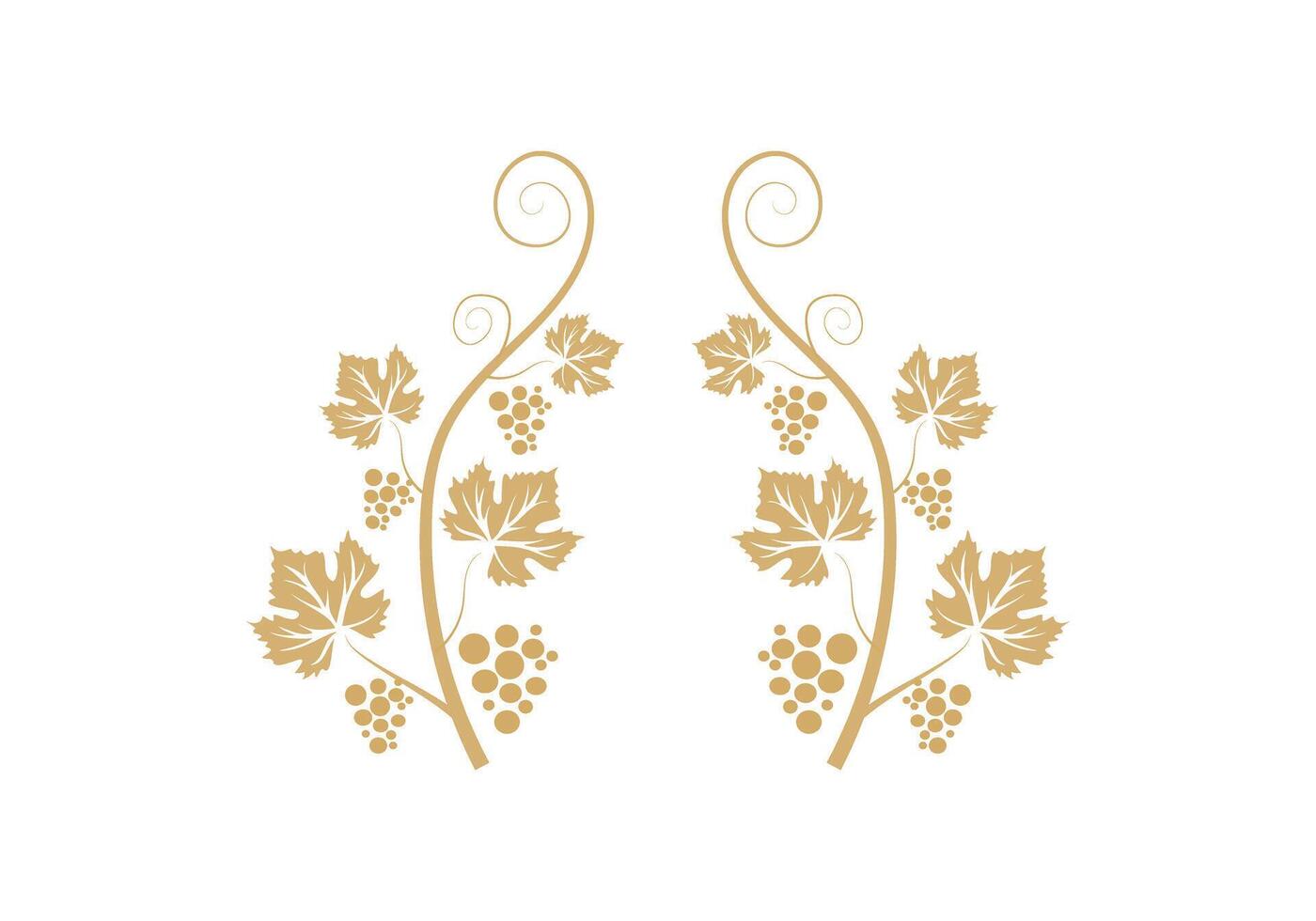 Vine Canes And Grapes Illustration vector