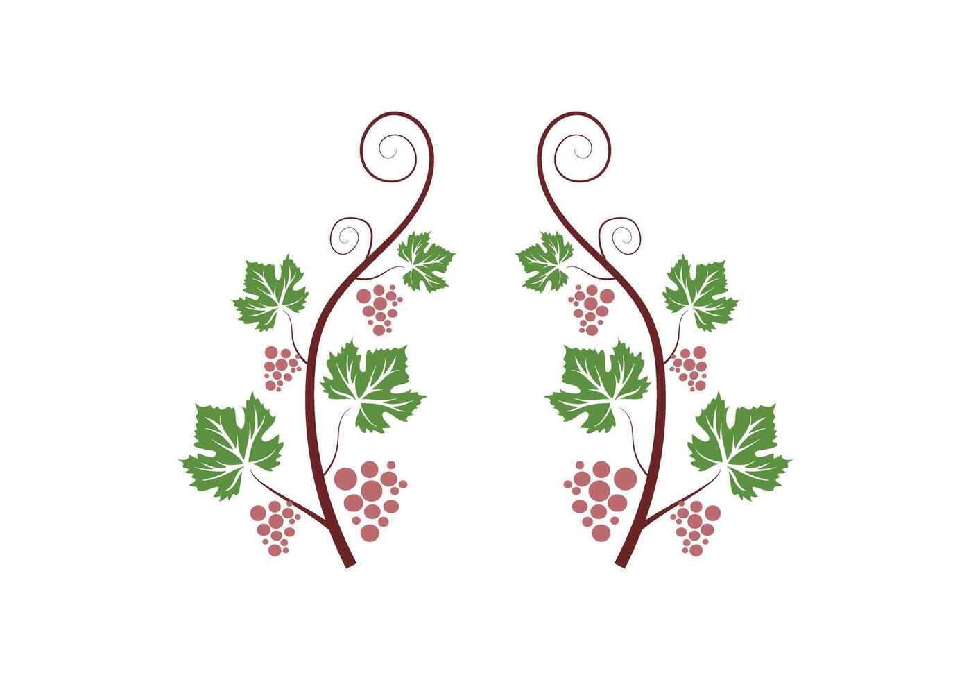 Grapevine Decoration Illustration vector
