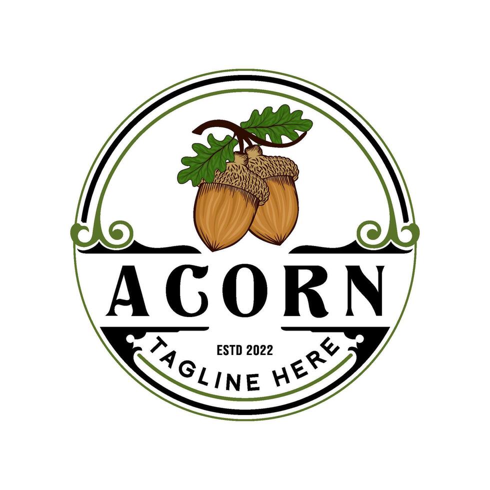 acorn vintage logo design. vector