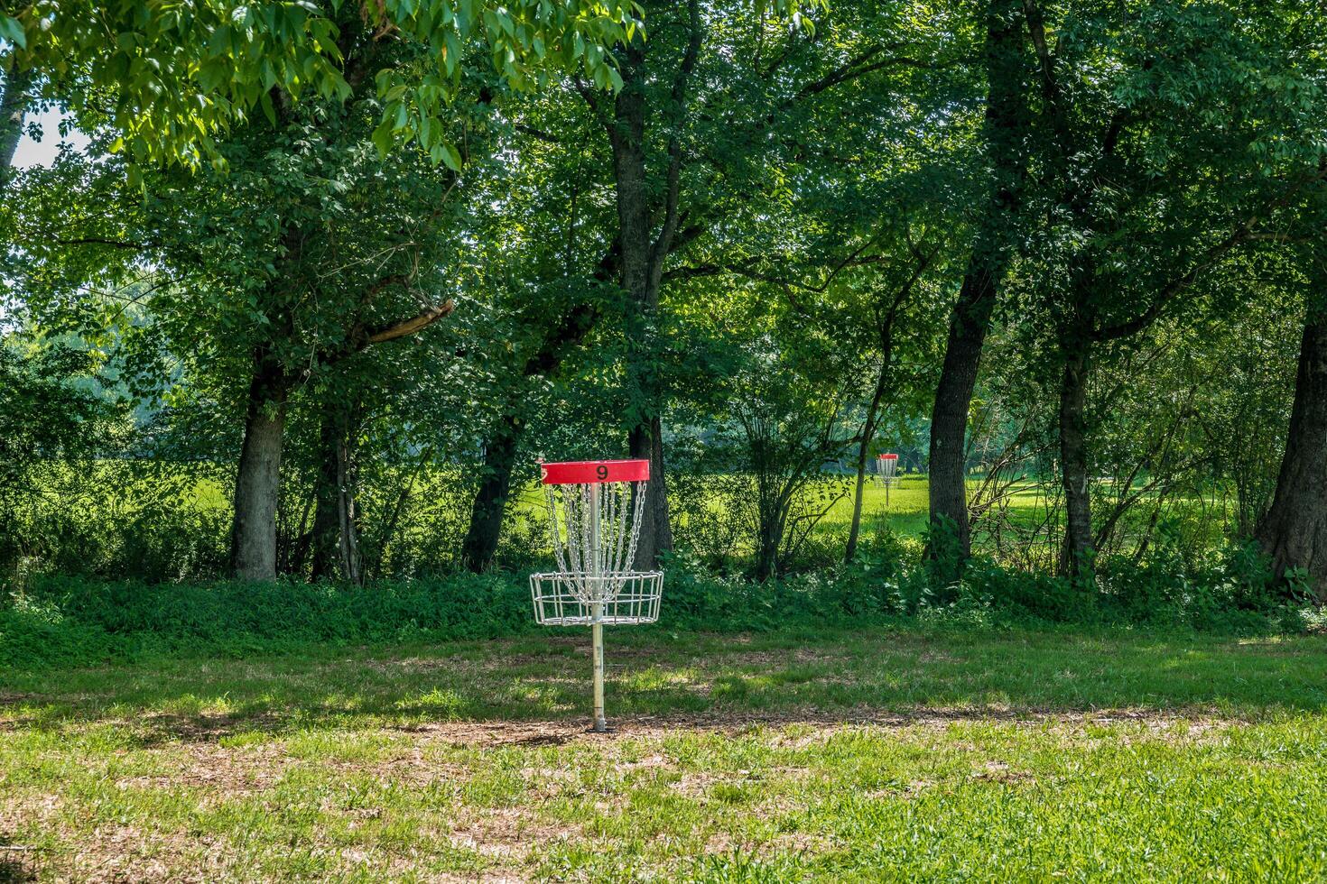 Pro disc golf basket photo