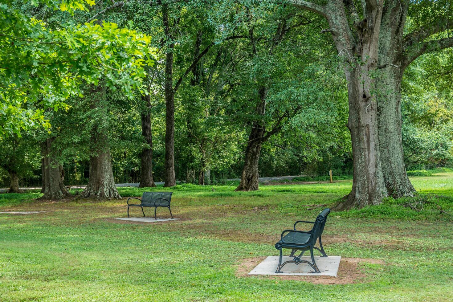 Benches at a park photo