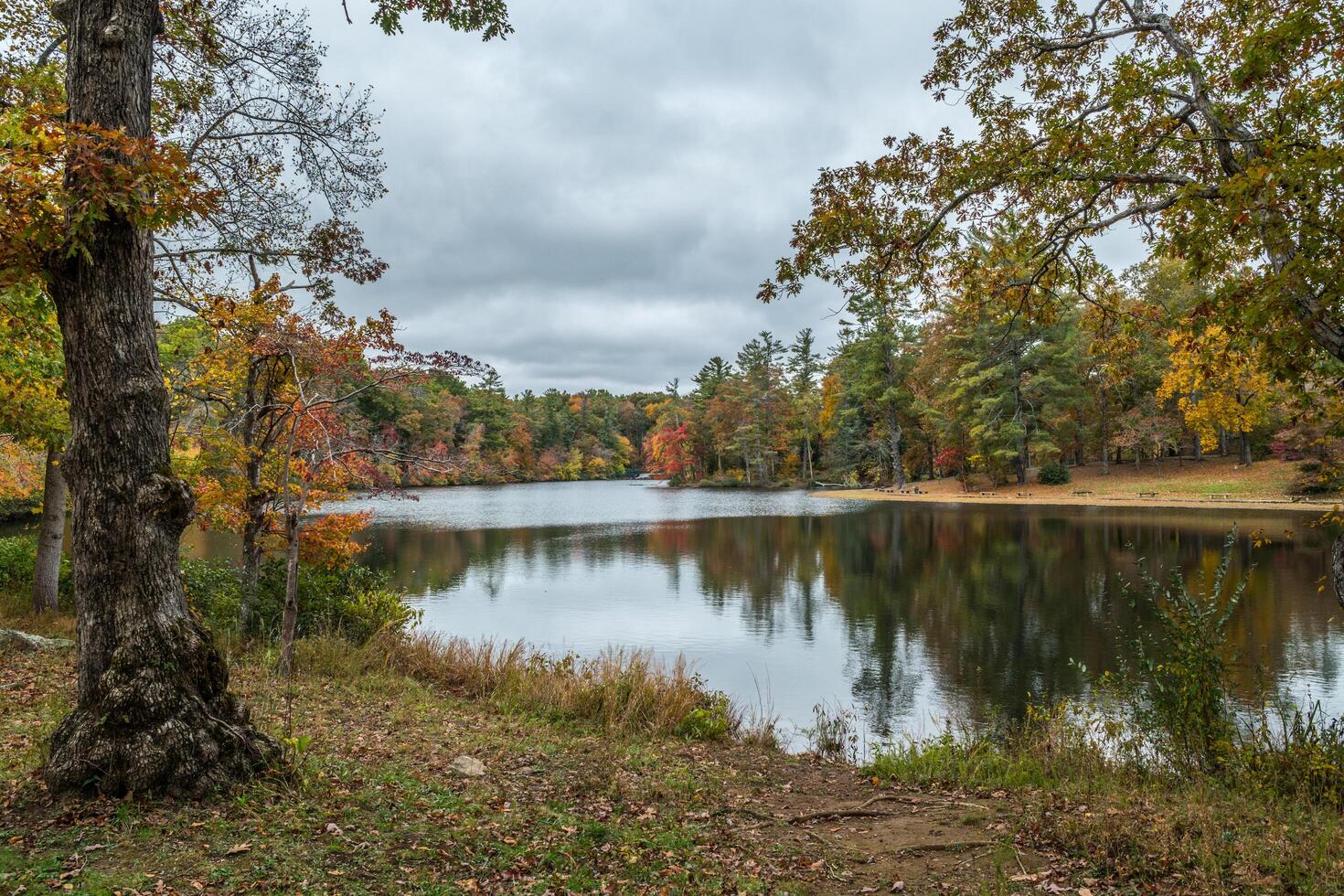 Byrd lake in Tennessee in autumn photo