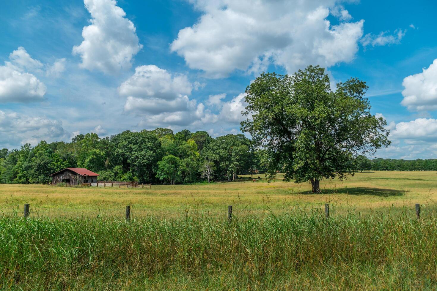 Rural countryside landscape photo