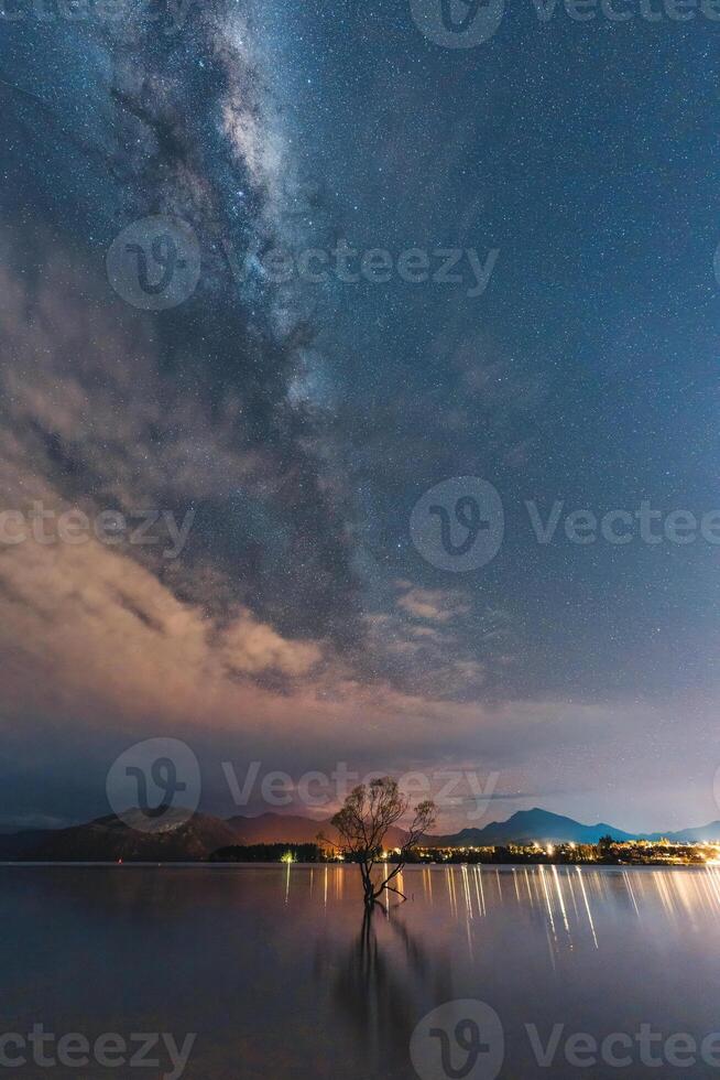 Milky way over Willow tree in the night at Lake Wanaka photo