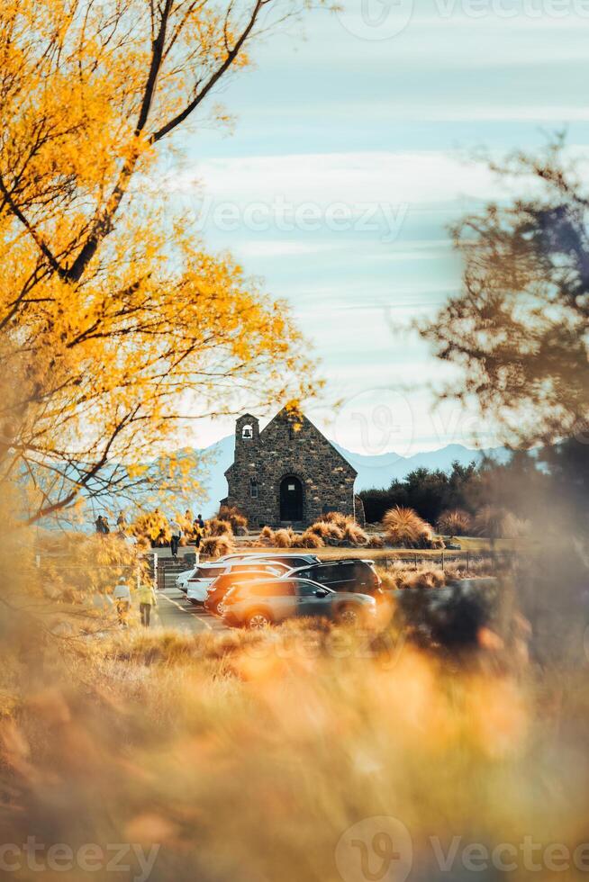 Church of the Good Shepherd with yellow leaves tree in autumn at Lake Tekapo, New Zealand photo