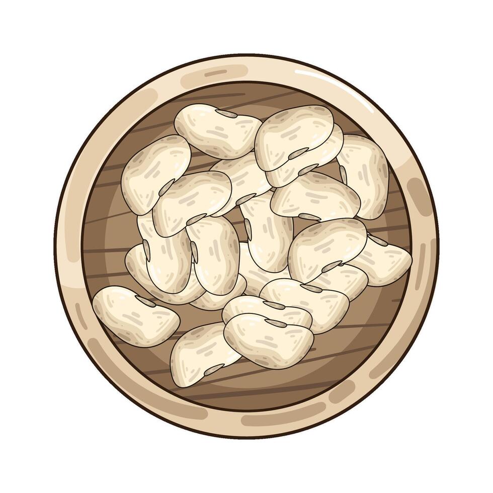 Illustration of cannellini bean vector