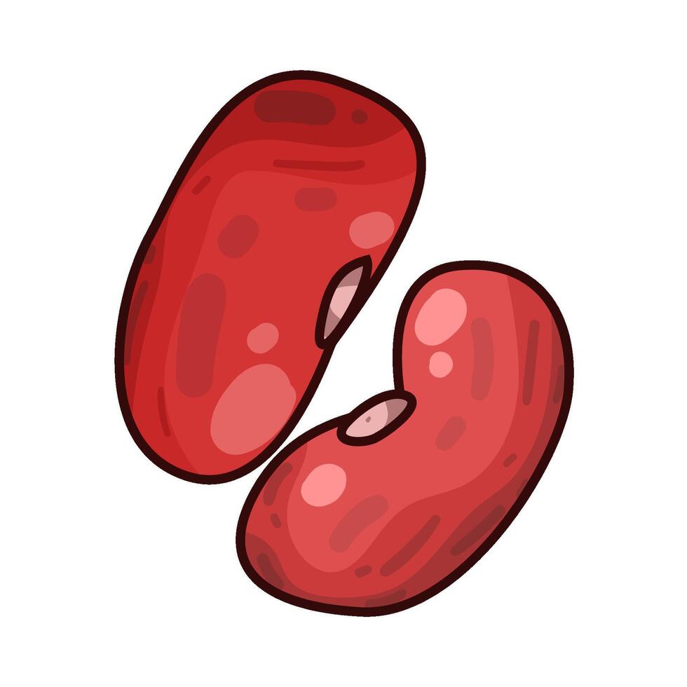Illustration of red beans vector