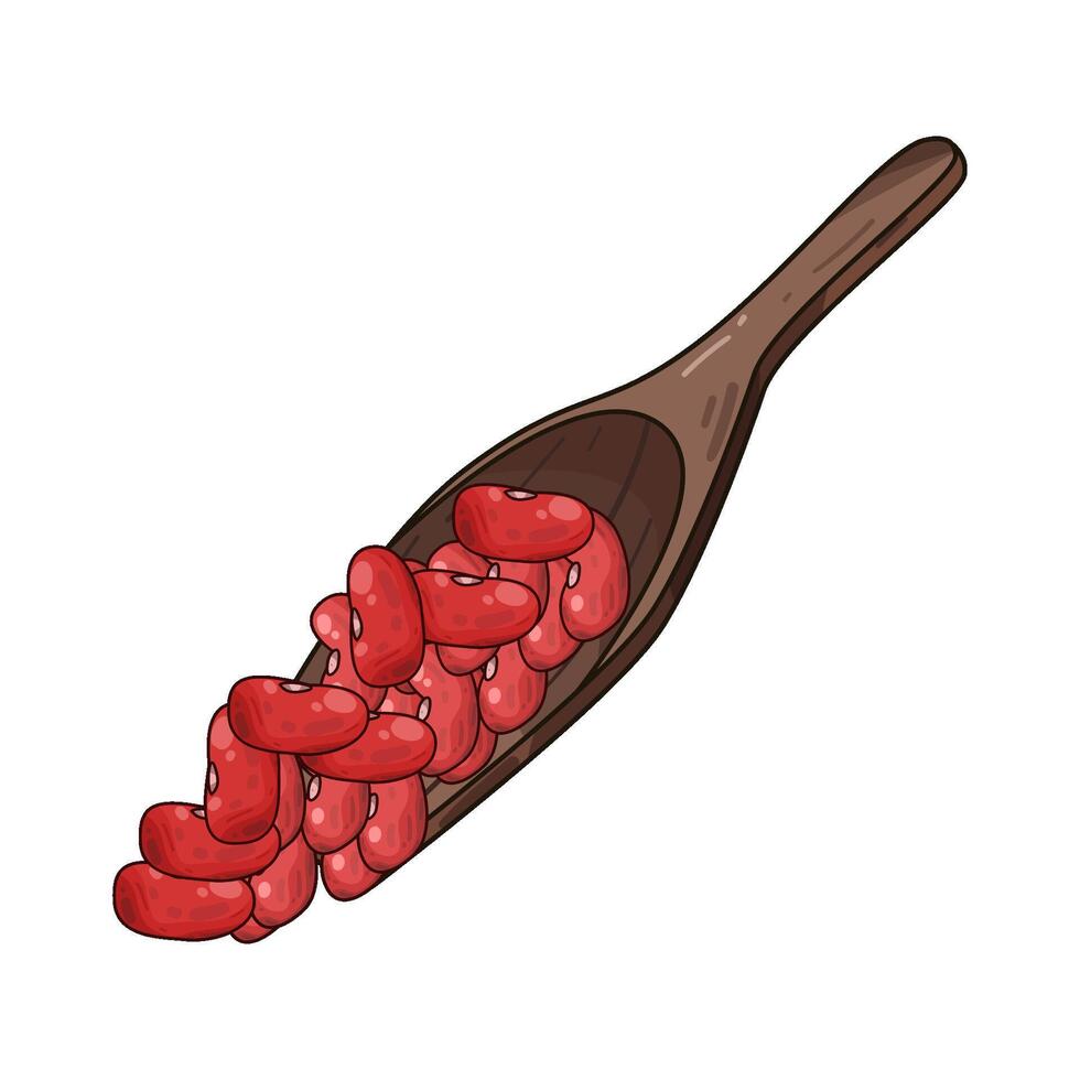 Illustration of red beans vector