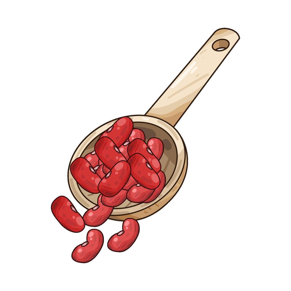 Illustration of red beans vector