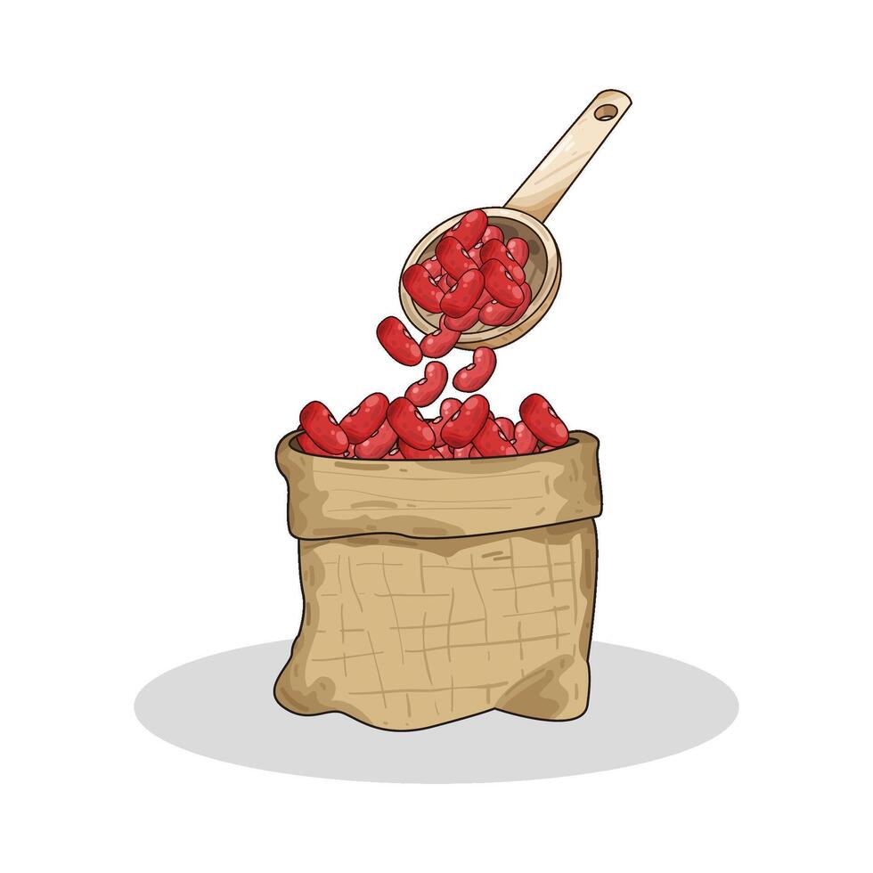 Illustration of red beans vector