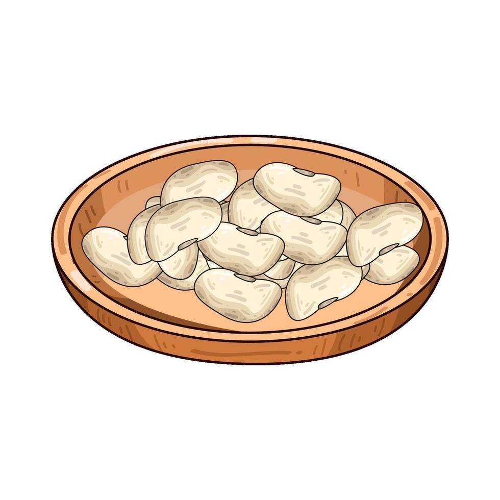 Illustration of cannellini bean vector