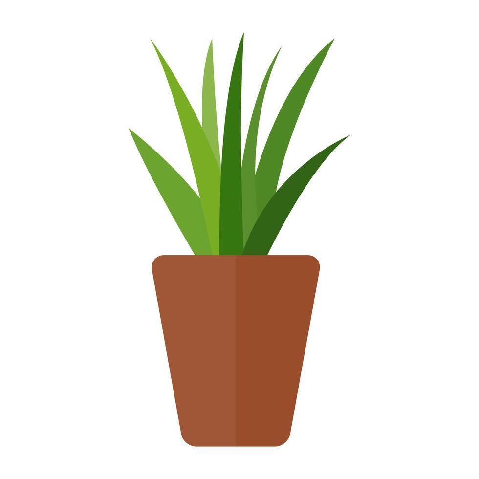 potted plants on white background. vector