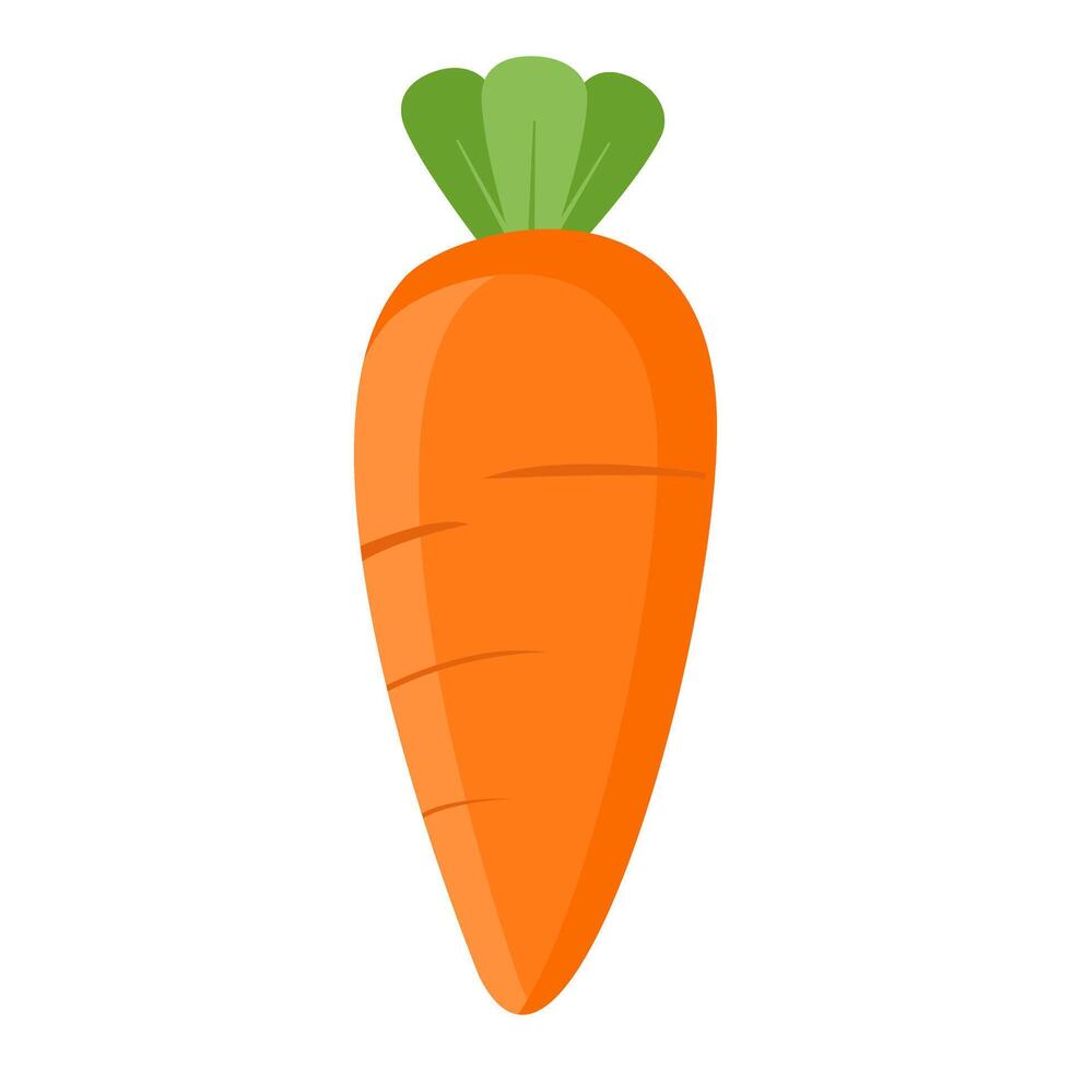 kawaii Carrots icon on white background. vector