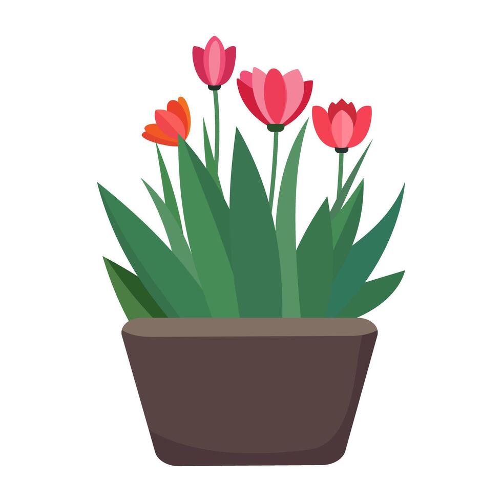 Flowers in pot on white background. vector