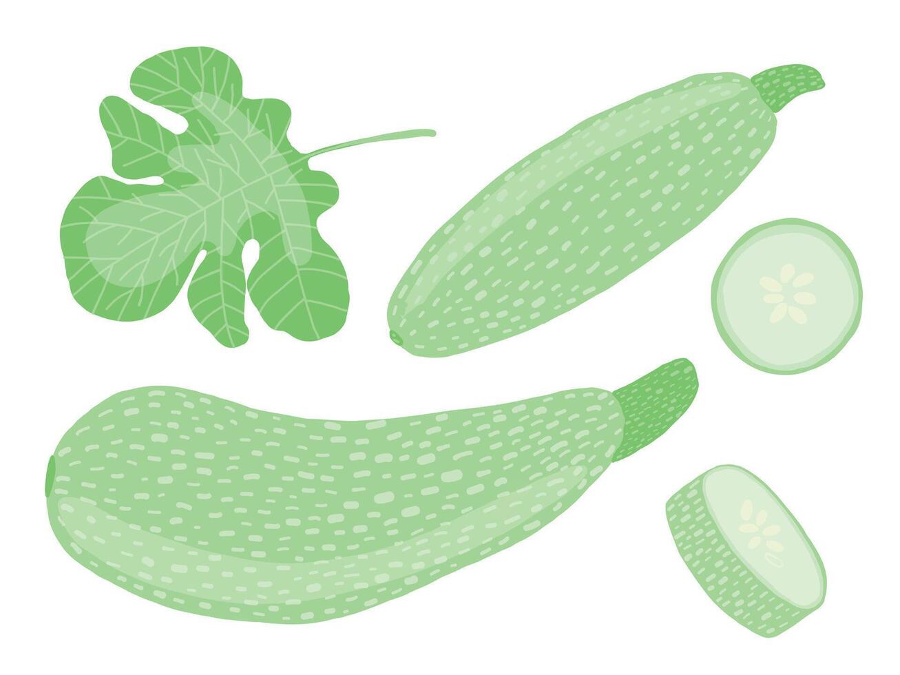 Zucchini flat style set vector