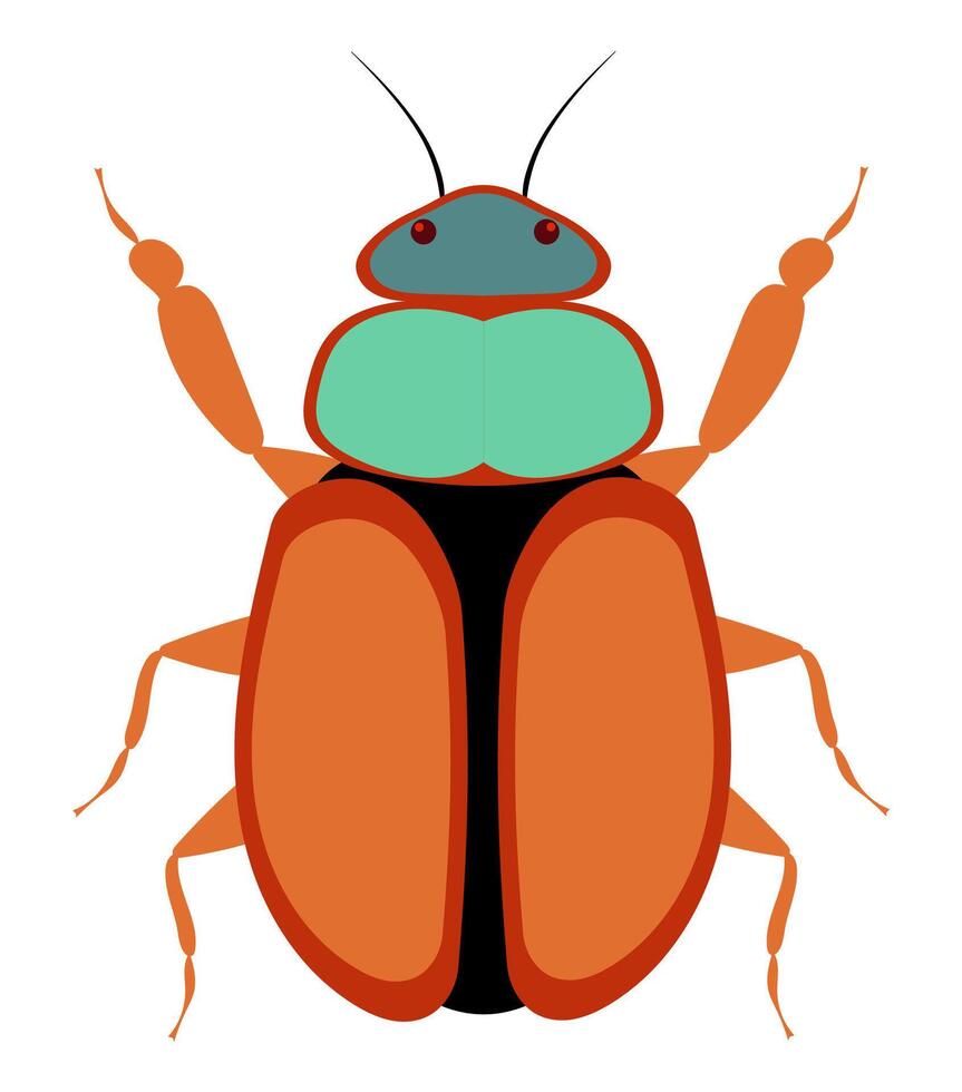 flat style insects wildlife animals illustration isolated on white background vector