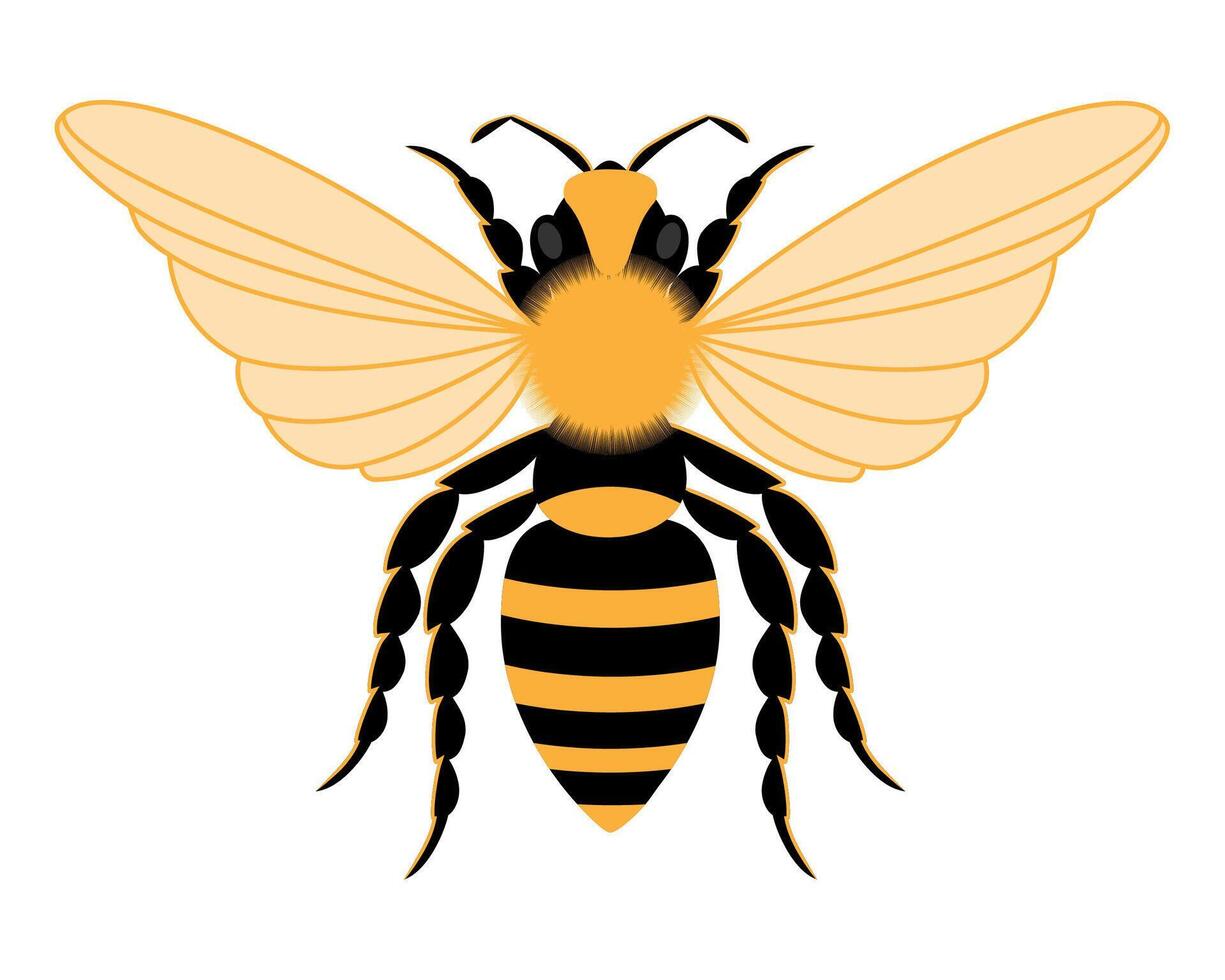 flat style insects wildlife animals illustration isolated on white background vector