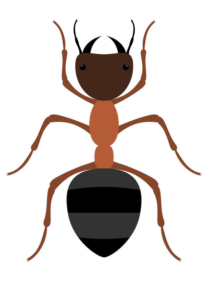 flat style insects wildlife animals illustration isolated on white background vector