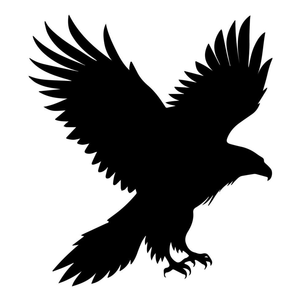 Silhouette eagle. Silhouettes of wild bird vector