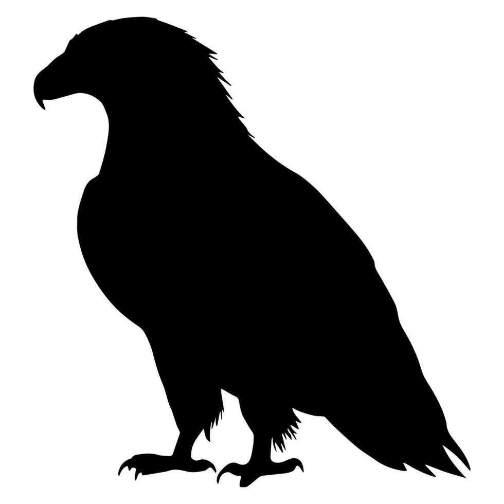 Silhouette eagle. Silhouettes of wild bird. vector