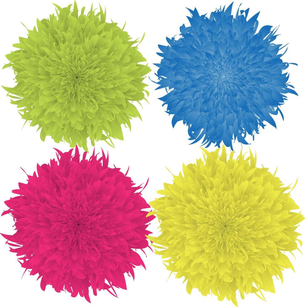Set of dahlias flowers isolated on white background. illustration. vector