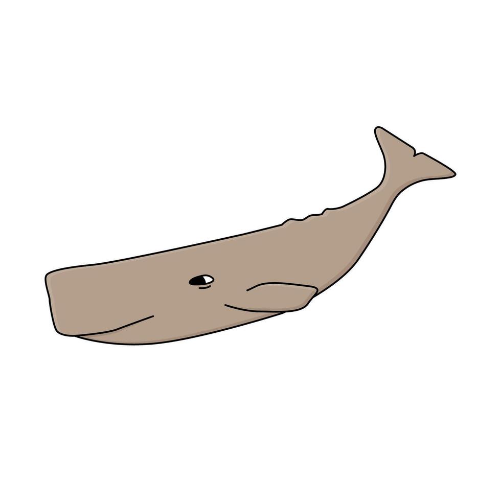 Sperm whale hand drawn illustration. A water animal of Antarctica isolated on white background vector
