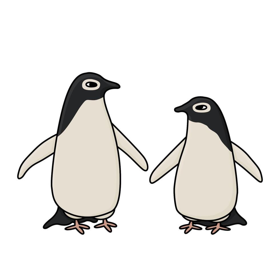 Adele penguins. Cute cartoon hand drawn isolated illustration of the animal in Antarctica. Polar outline childish art on white background vector