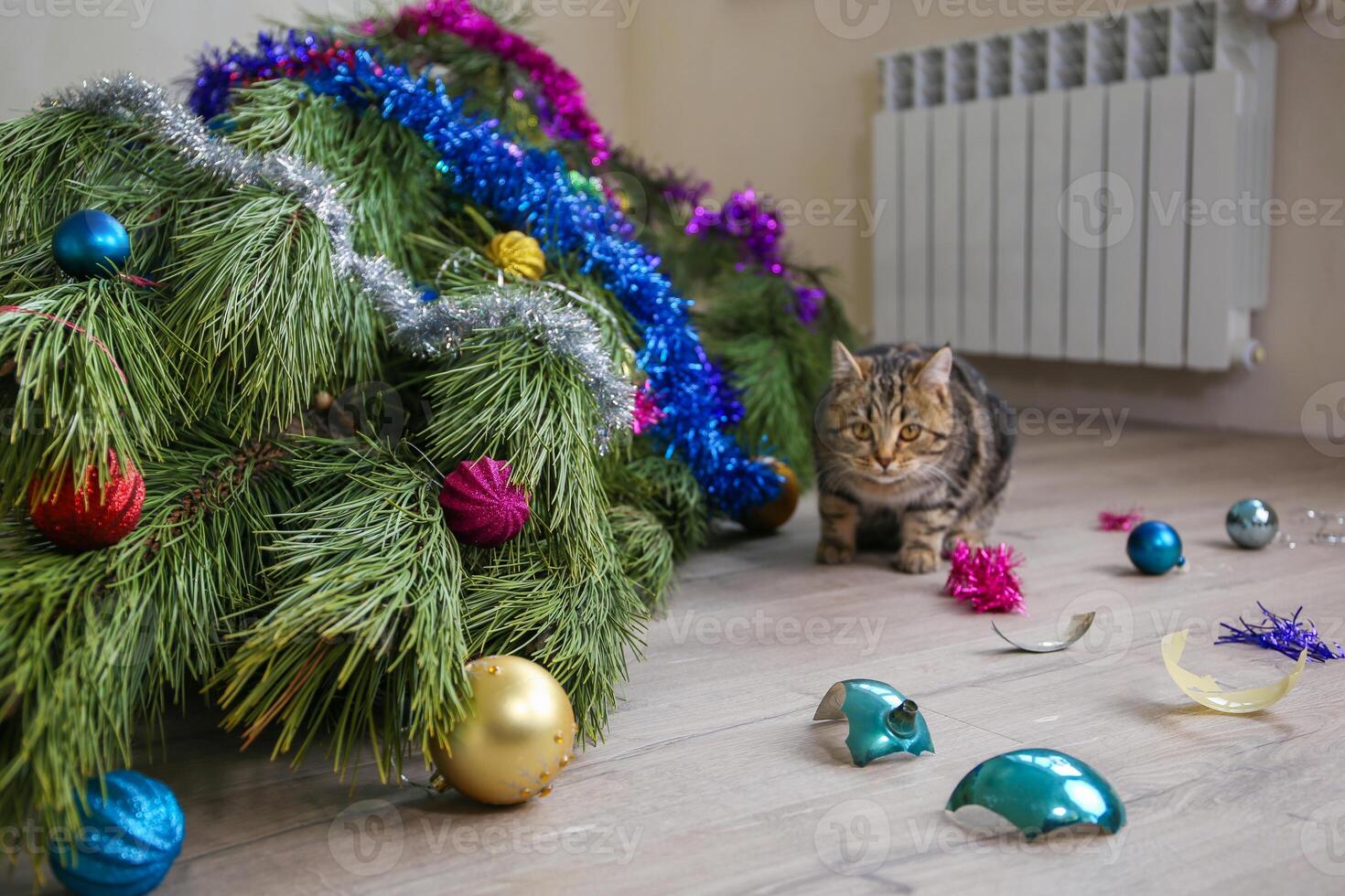 The cat filled up the Christmas tree for the New Year. Christmas tree toys were broken. photo