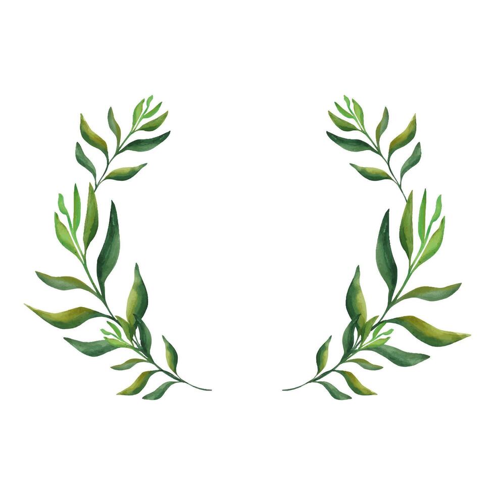 Abstract leaves. A wreath of beautiful green twigs on a white stock. For your design vector