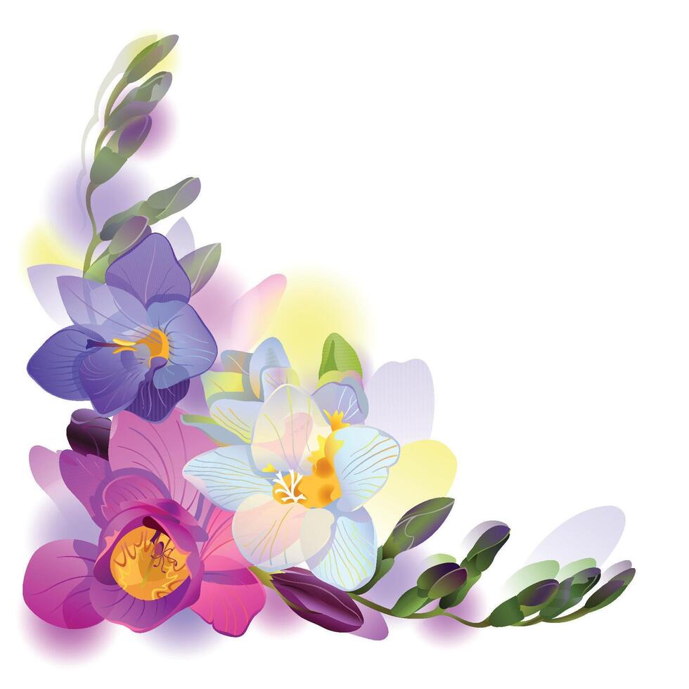 Greeting background with pictorial freesia flowers vector