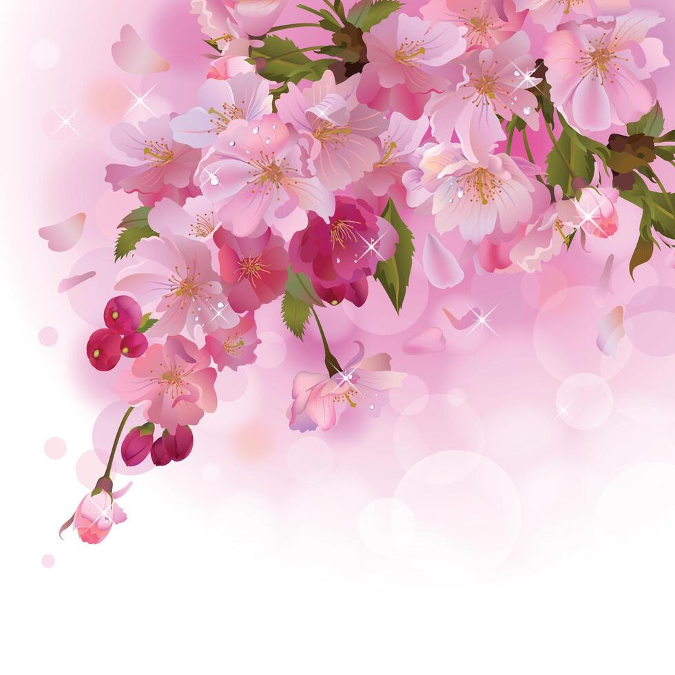 Spring background with gentle pink sakura branch of flowers vector