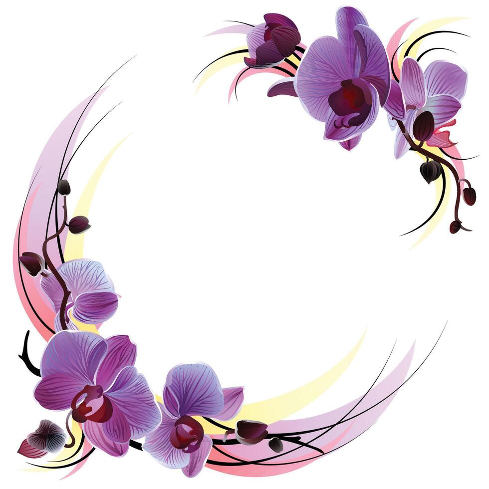 White greeting card with violet orchids.eps vector